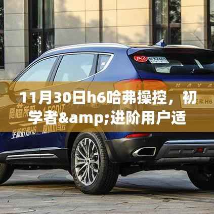 11月30日哈弗车辆操控攻略,适合初学者与进阶用户的全攻略