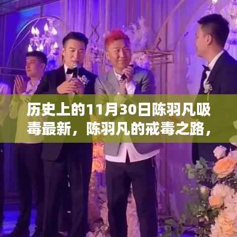 陈羽凡戒毒之路,心灵与自然的美丽邂逅(最新报道)