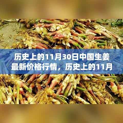 探寻历史生姜行情,励志之旅中的自信与成就感之源——中国生姜价格变迁的启示(11月30日篇)