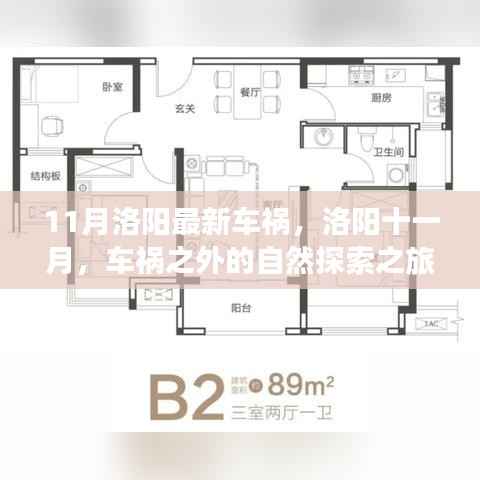 洛阳车祸最新消息与十一月自然探索之旅