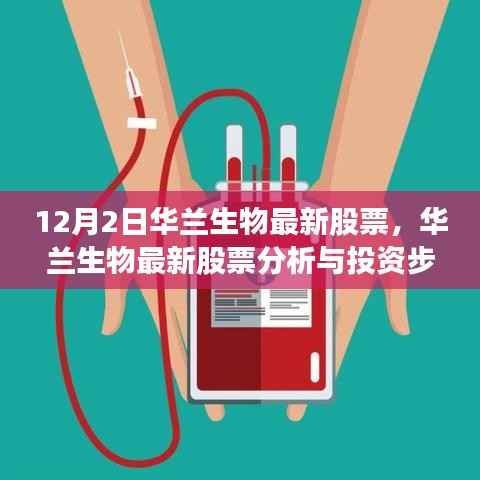 成功案例 第418页