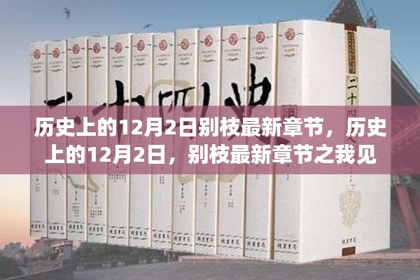 历史上的12月2日,别枝最新章节深度解析及观感分享