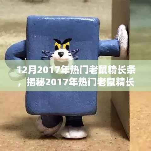 揭秘2017年热门老鼠精长条,技术革新与应用探讨的要点解析