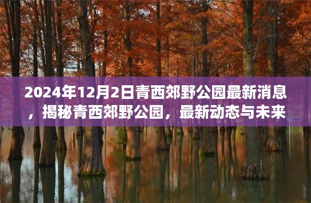 青西郊野公园最新动态揭秘,未来展望与小红书版解读