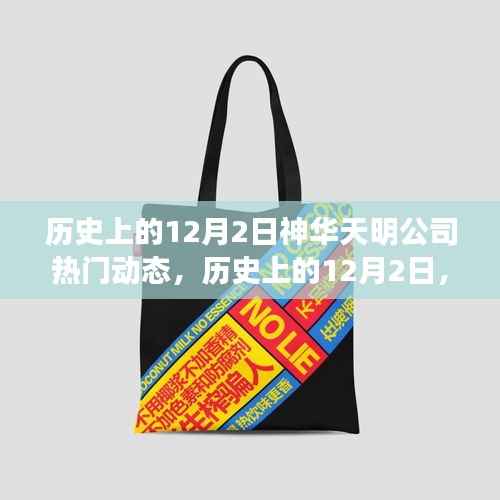 历史上的神华天明公司动态回顾,热门产品全面评测与介绍 12月2日篇