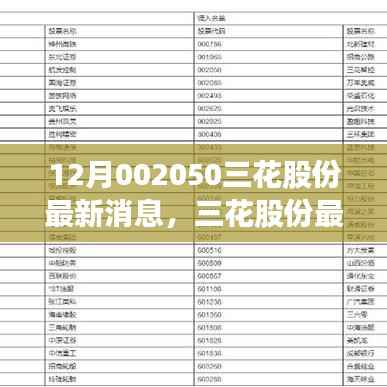 三花股份变革动态,最新消息与绽放光彩的十二月展望