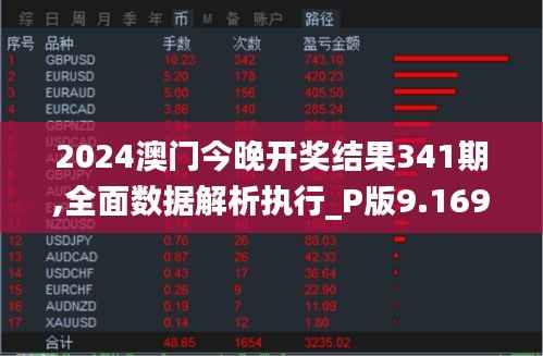 2024澳门今晚开奖结果341期,全面数据解析执行_P版9.169