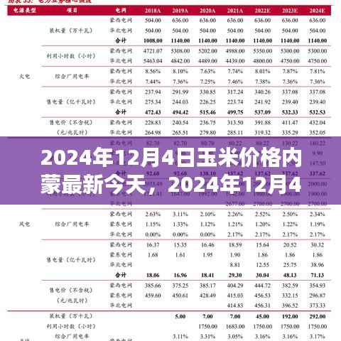 2024年12月4日内蒙玉米价格最新动态及分析,今日行情与市场展望