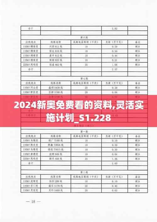 2024新奥免费看的资料,灵活实施计划_S1.228