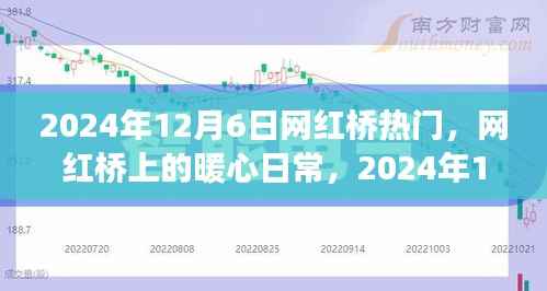 网红桥上的暖心日常,桥畔趣事见证美好时刻