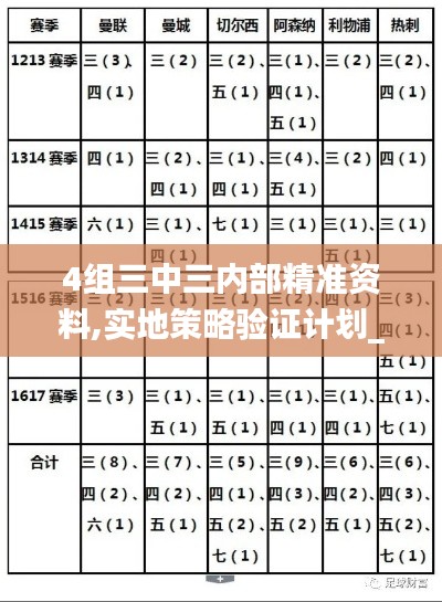 4组三中三内部精准资料,实地策略验证计划_X版3.570