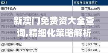 新澳门免费资大全查询,精细化策略解析_LT4.885