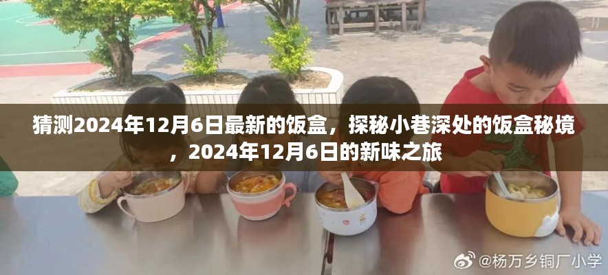探秘小巷深处的饭盒秘境,2024年12月6日新味之旅开启