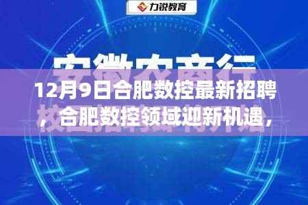12月9日合肥数控最新招聘，合肥数控领域迎新机遇，12月9日招聘活动深度剖析