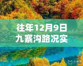 科技引领智能出行,九寨沟路况实时查询掌握新纪元
