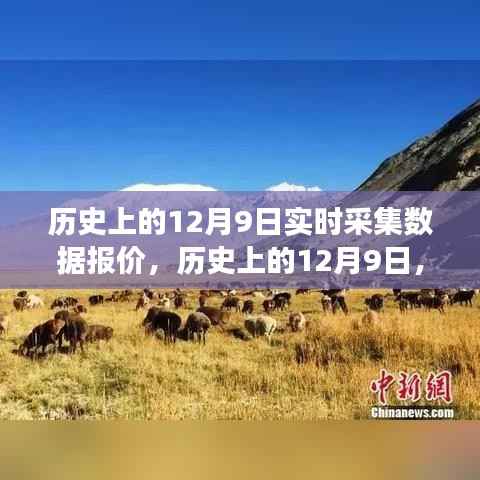 探寻自然美景之旅，历史上的12月9日实时数据报价与心灵宁静启程