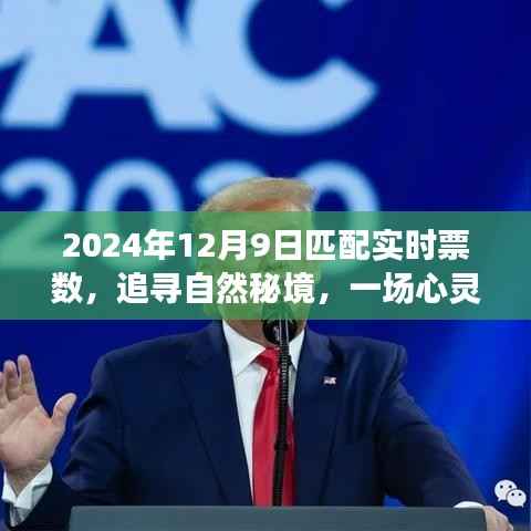 迷离马虎 第5页