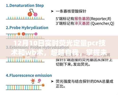 实时荧光定量PCR技术与WB术的魅力之旅,超越自我,掌握未来技术