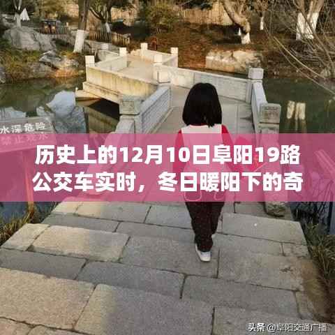 冬日暖阳下的阜阳公交奇遇,揭秘历史上的阜阳公交19路秘密回忆与实时动态