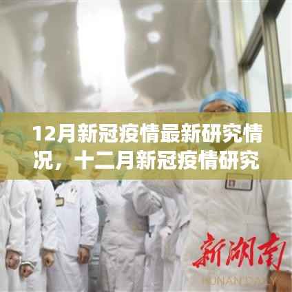 十二月新冠疫情最新研究深度解析,背景、进展与影响