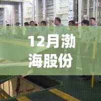 渤海股份深度解析,最新消息、市场动态与未来展望