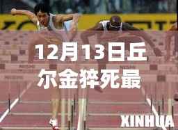 丘尔金猝死事件最新消息与解读指南,全解析与步骤指南