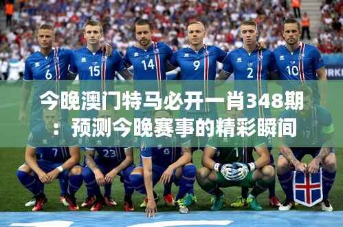 今晚澳门特马必开一肖348期:预测今晚赛事的精彩瞬间