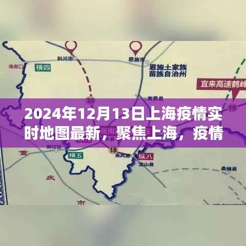 2024年12月13日上海疫情实时地图更新,聚焦最新动态