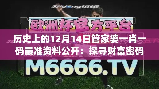 历史上的12月14日管家婆一肖一码最准资料公开：探寻财富密码的非凡之旅