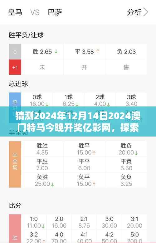 猜测2024年12月14日2024澳门特马今晚开奖亿彩网，探索预测与现实的微妙关系