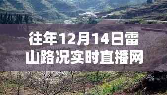 往年12月14日雷山路况全面回顾,实时直播与深度解析路况报告