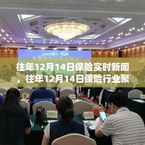 深度解读,往年12月14日保险行业聚焦与实时新闻回顾