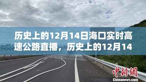 海口实时高速公路直播纪实,历史上的12月14日回顾