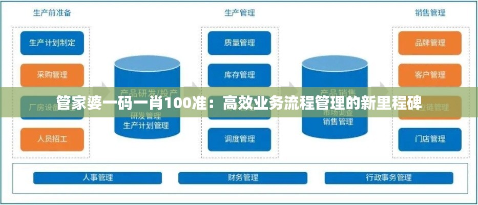 管家婆一码一肖100准:高效业务流程管理的新里程碑