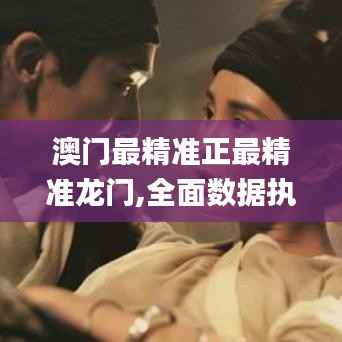 澳门最精准正最精准龙门,全面数据执行方案_豪华版1.563