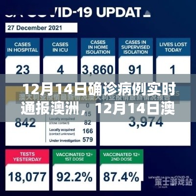 澳洲疫情最新进展，实时通报确诊病例与深度分析（12月14日更新）