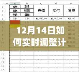 12月14日实时调整计划表格格式，初学者与进阶用户详细指南