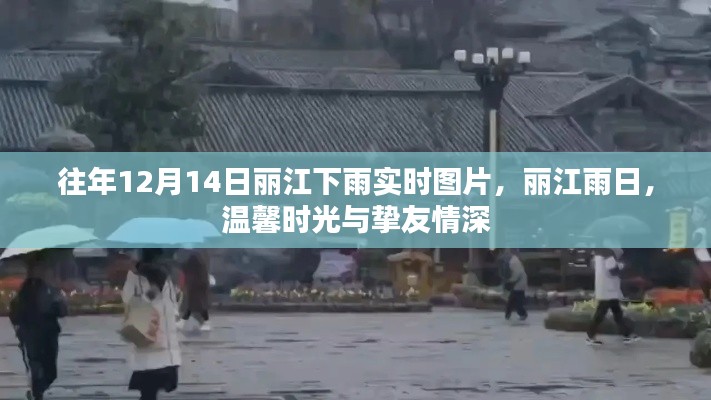 丽江雨日情深，雨景实时图片与挚友情深的温馨时光