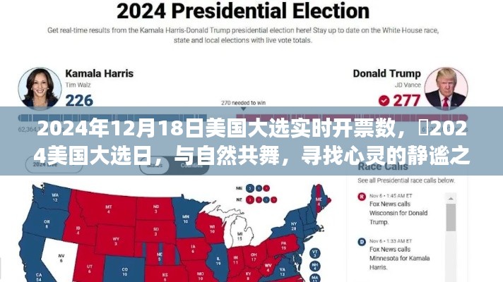 美国大选实时开票数背后的心灵之旅,与自然共舞,寻找心灵的静谧