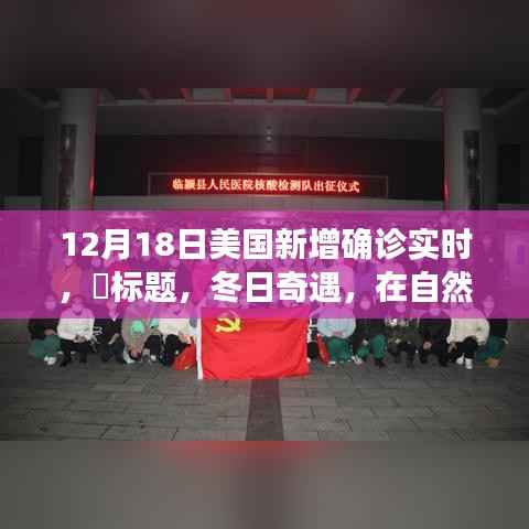 美国新增确诊实时追踪，冬日探寻内心宁静的挑战（每日更新）