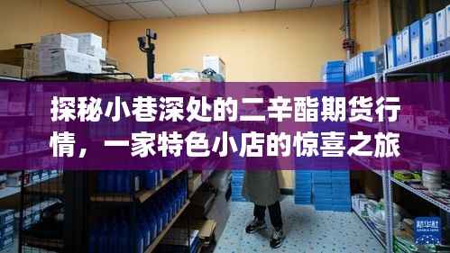 探秘小巷深处的二辛酯期货行情之旅,一家特色小店的惊喜探索