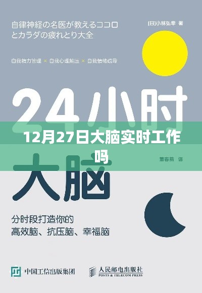 大脑实时工作状态,探究12月27日的脑活动