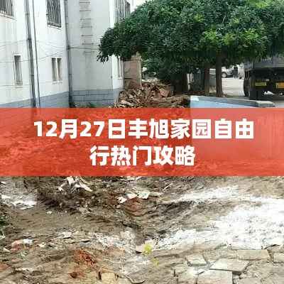 丰旭家园自由行,年末热门攻略揭秘