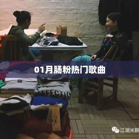 最新肠粉之歌,一月热门榜单出炉!