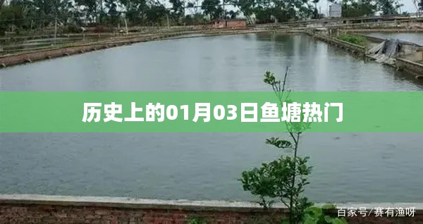 历史上的鱼塘热门事件,一月三日回顾