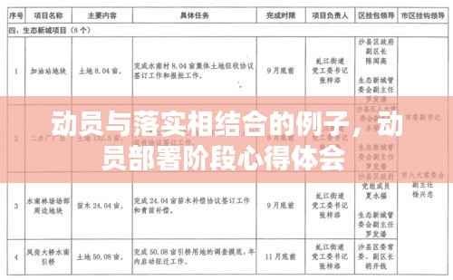 动员与落实相结合的例子，动员部署阶段心得体会 