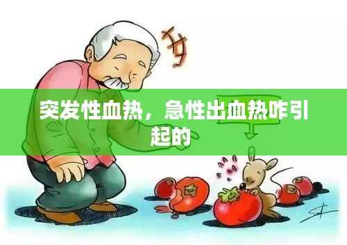 突发性血热,急性出血热咋引起的