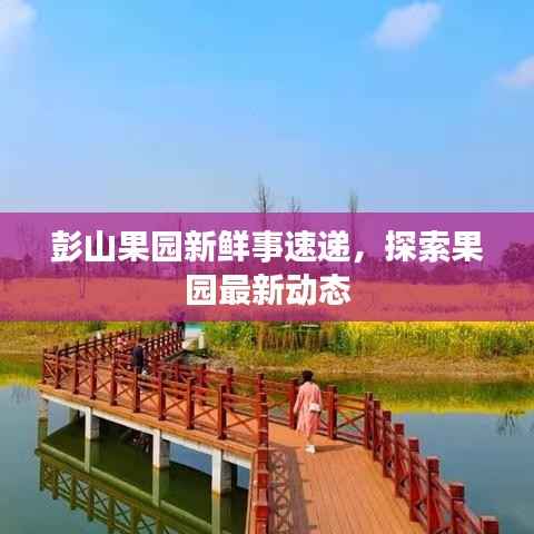 彭山果园新鲜事速递，探索果园最新动态