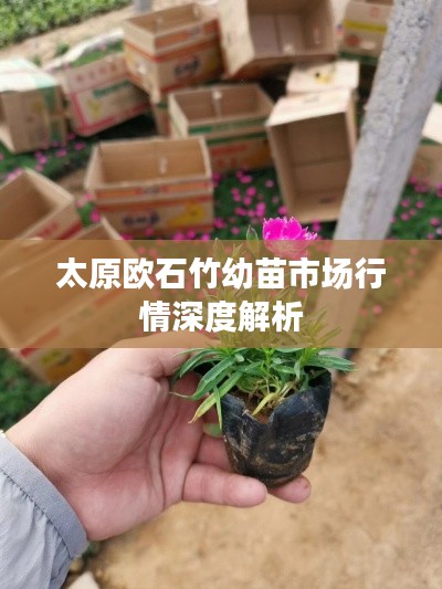 初遇在故事开头 第3页