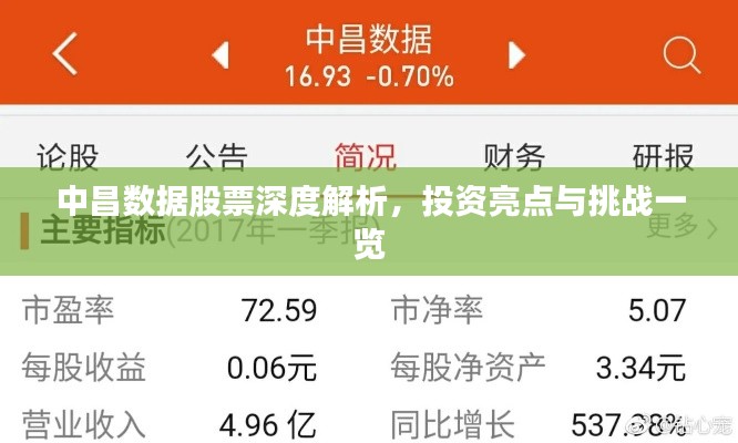 中昌数据股票深度解析,投资亮点与挑战一览